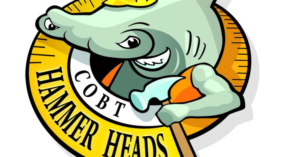 Hammer Heads – Apply Now!